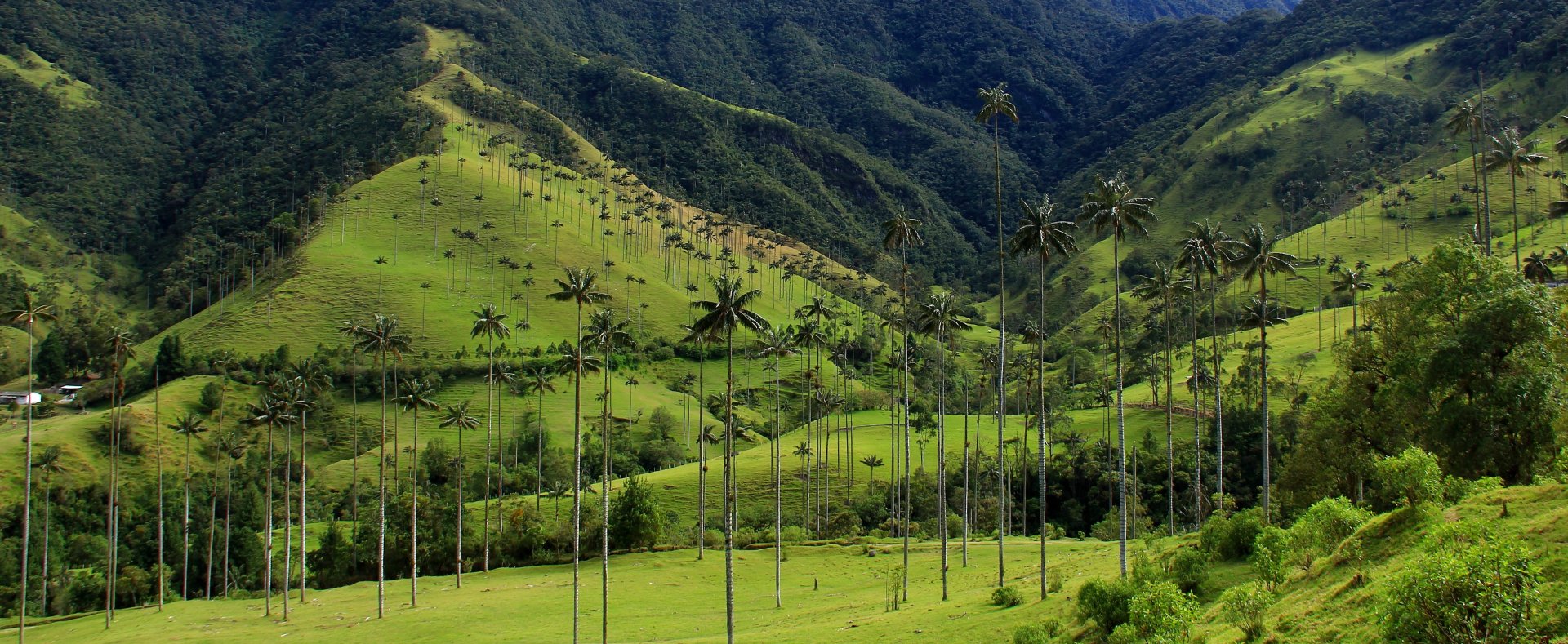 Colombia