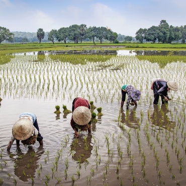 cose da visitare in vietnam