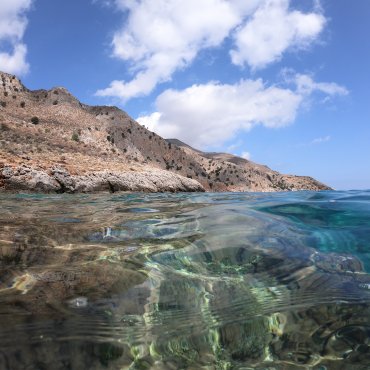 canarie in inverno