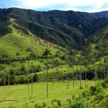 COLOMBIA