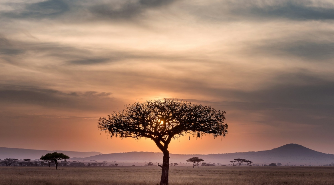 Assistere alla Grande Migrazione al Lago Ndutu in Tanzania