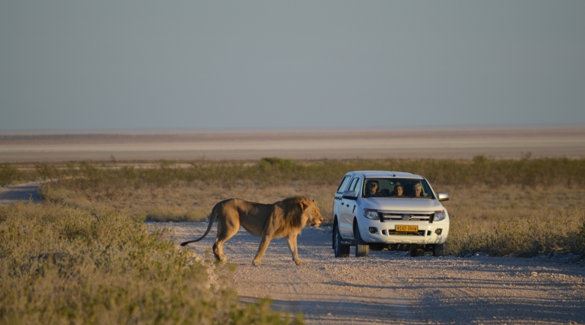 safari namibia