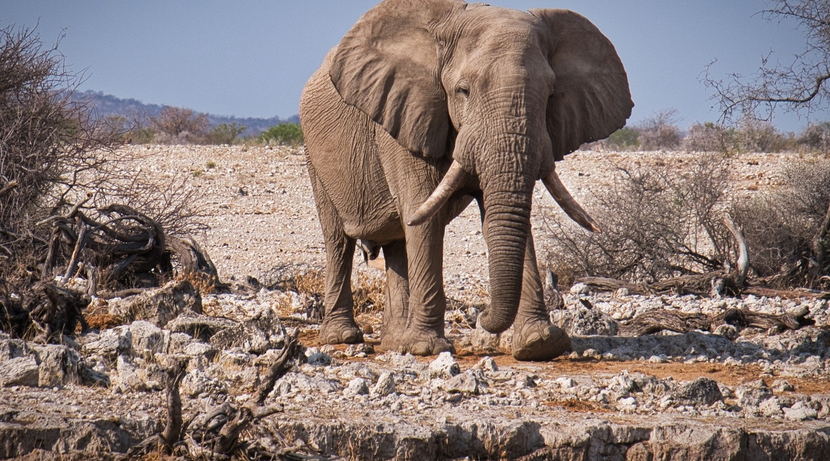 viaggio namibia