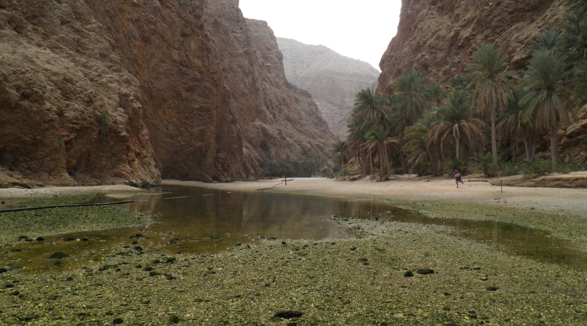 Tour Capodanno in Oman