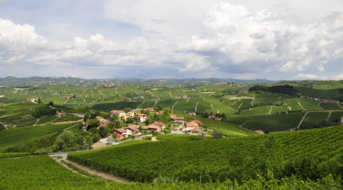 langhe monferrato