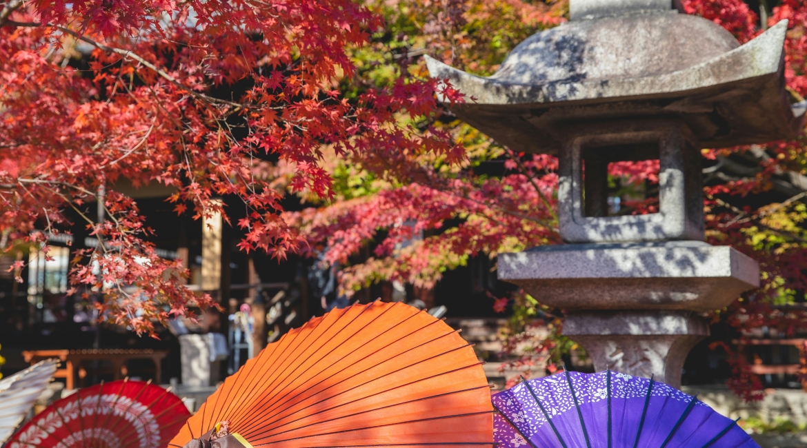 momiji giappone