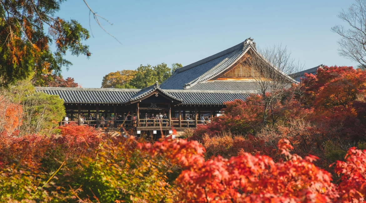 momiji