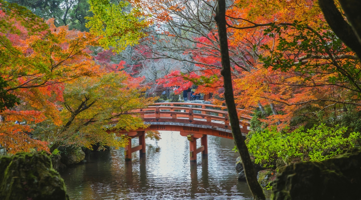 momiji in giappone