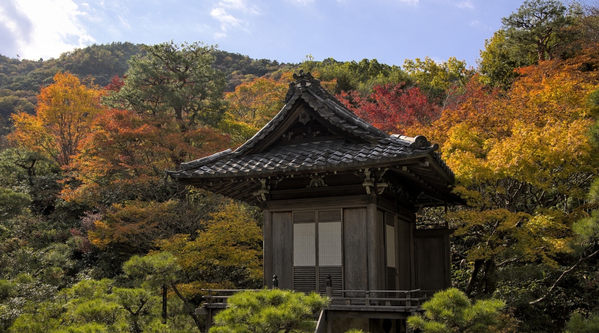 foliage autunnale