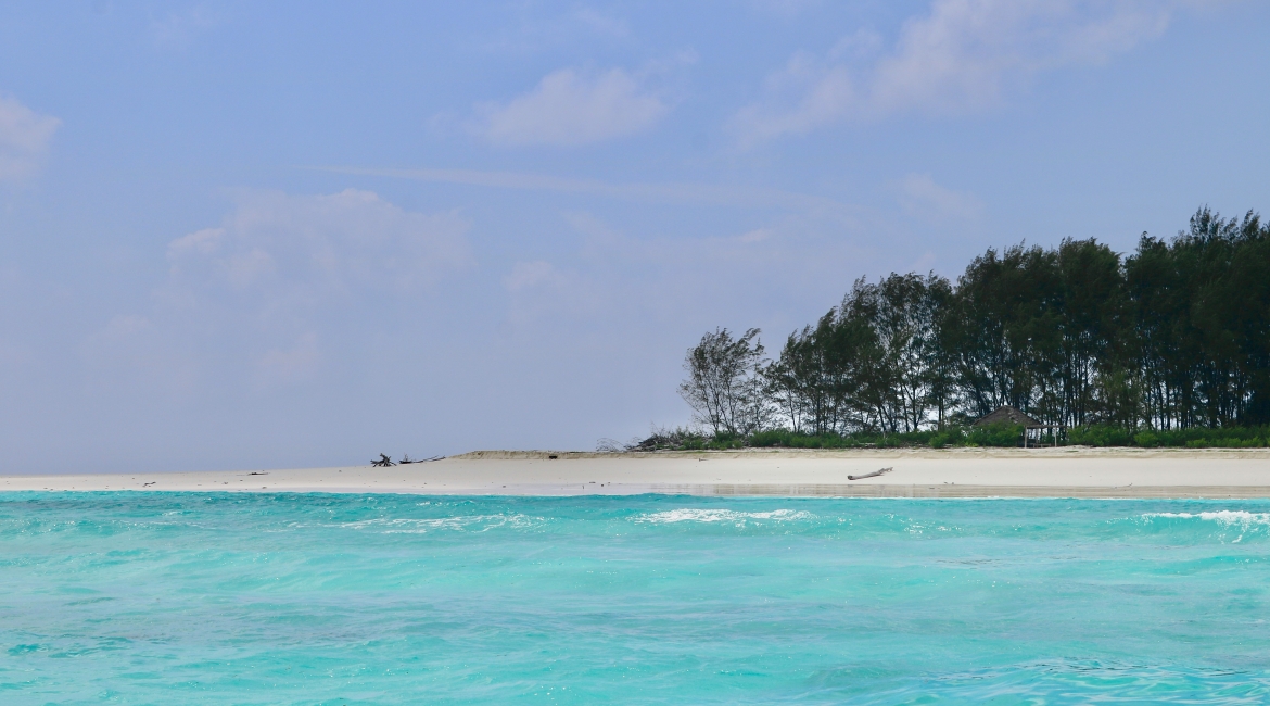 tanzania safari zanzibar