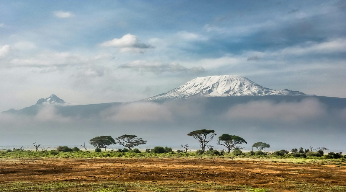 tanzania safari