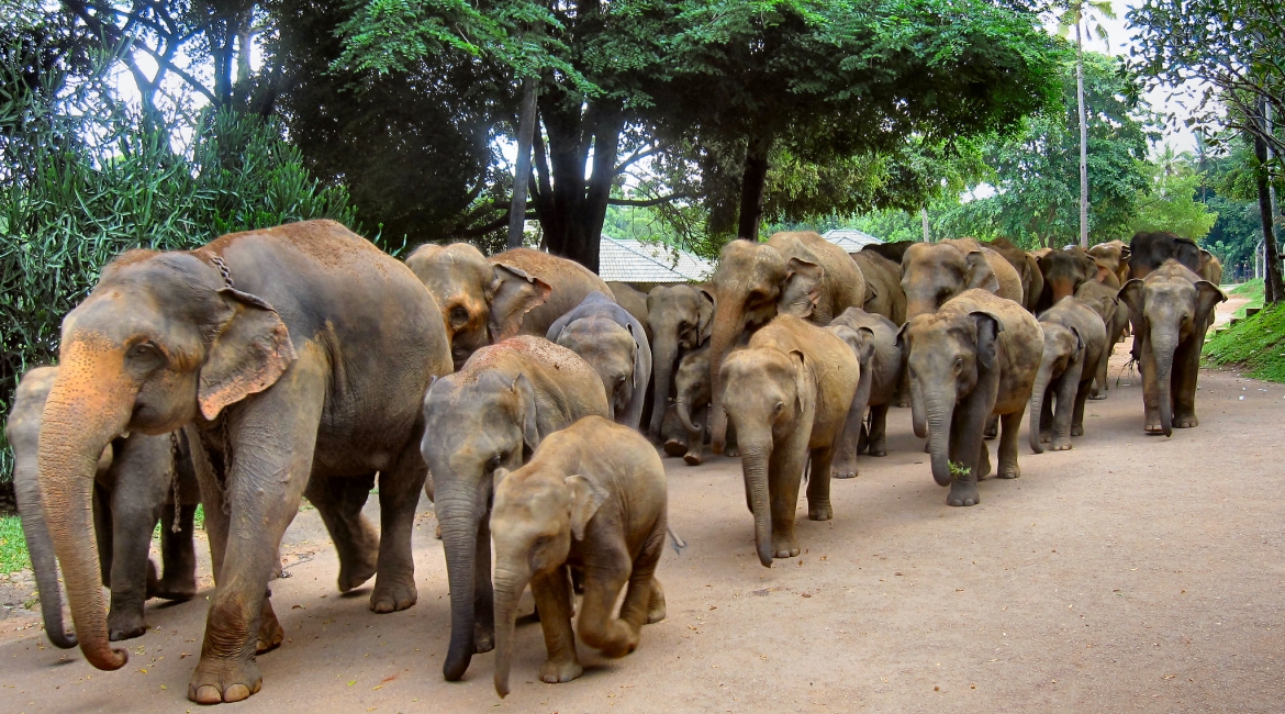 sri lanka