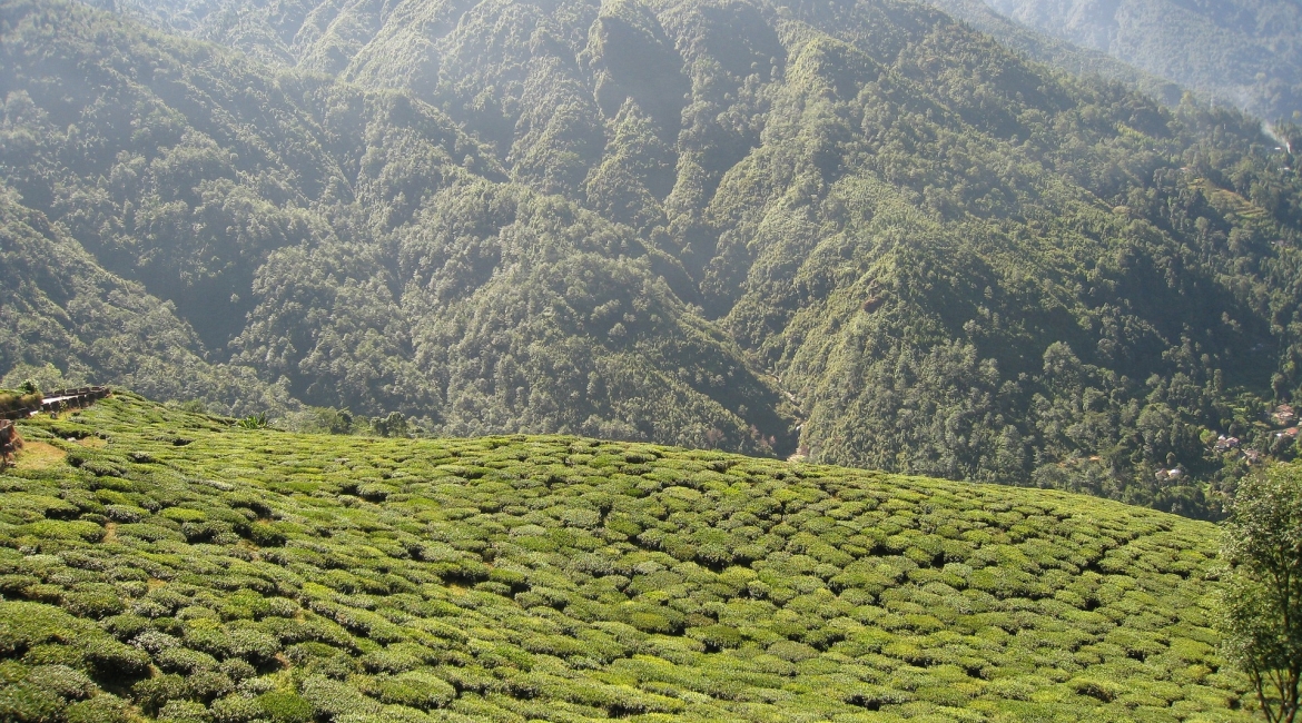 il treno per darjeeling