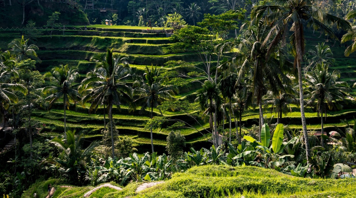 bali lombok