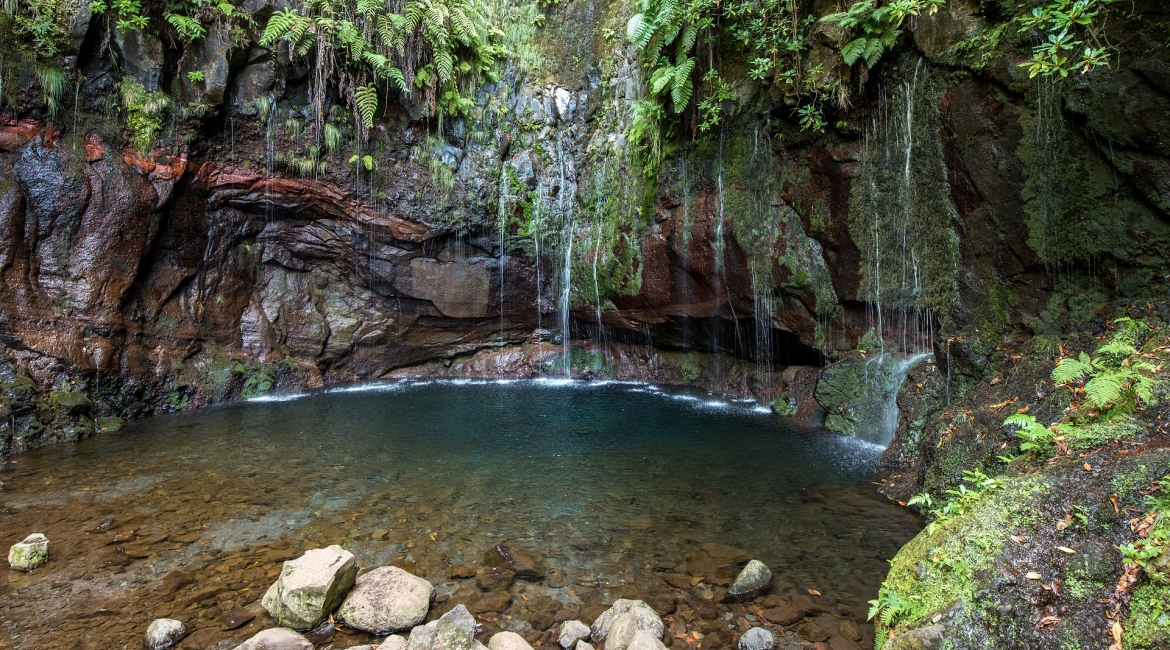 madeira