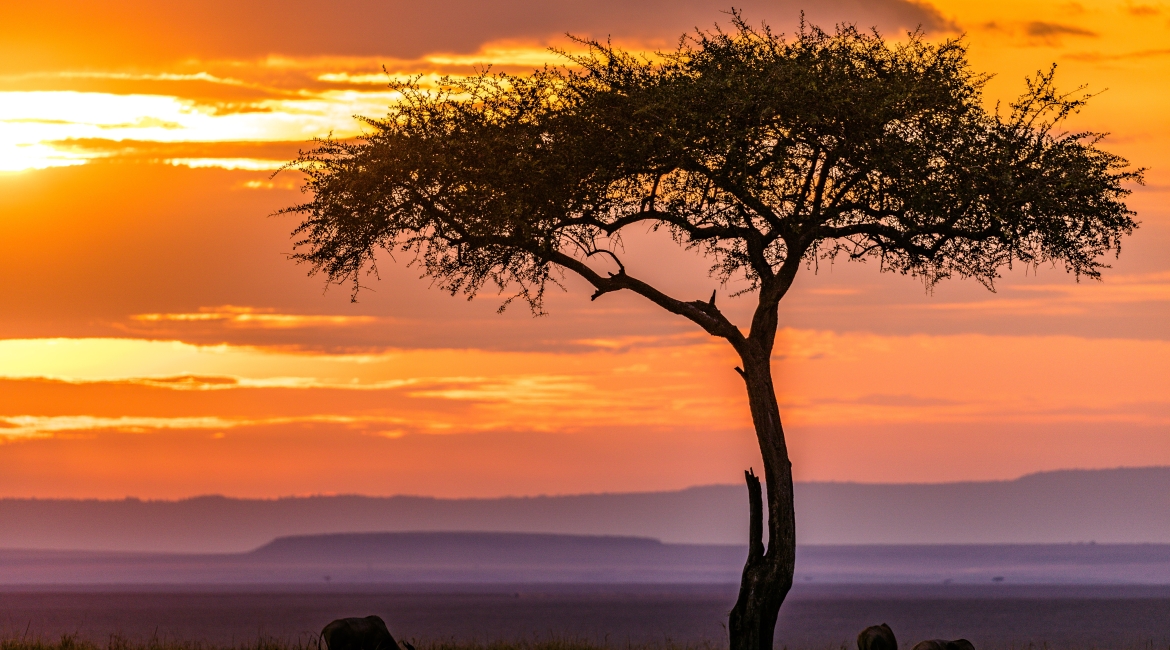masai viaggi