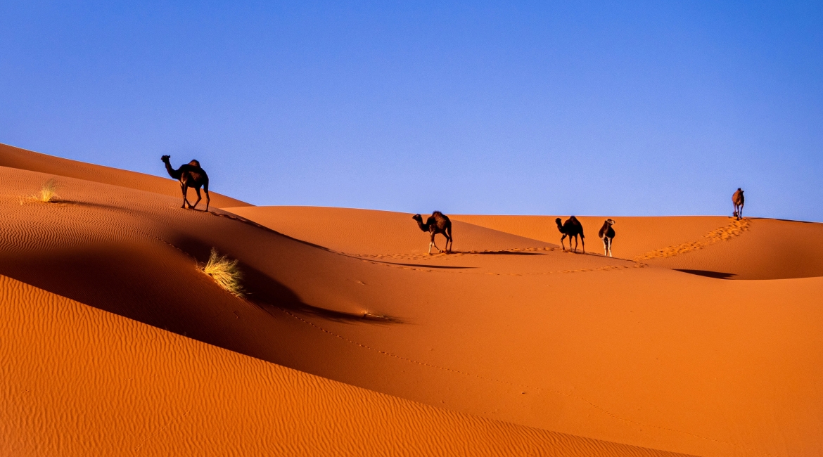 itinerari marocco 10 giorni 