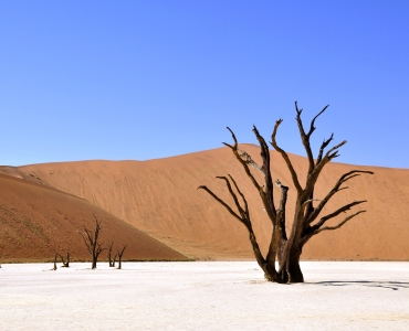 Viaggio Namibia: dal deserto al Parco Etosha