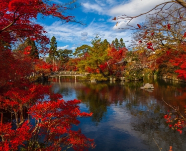 Autunno in Giappone: Momijigari, il foliage