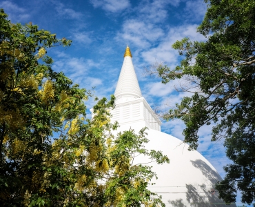 Viaggio in Sri Lanka: un viaggio tra storia e natura