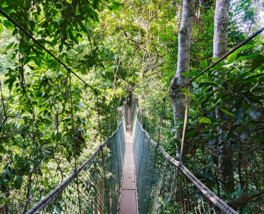 Meraviglie della Malesia: Un viaggio indimenticabile tra storia e natura