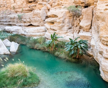 Oman cosa vedere: Un viaggio tra storia, cultura e natura