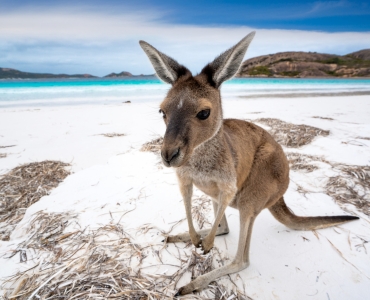 Viaggio in Australia tra natura e cultura