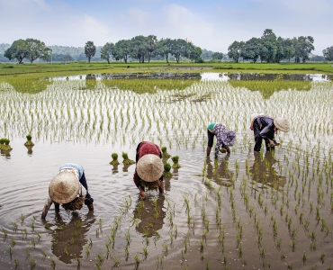 Splendori del Vietnam