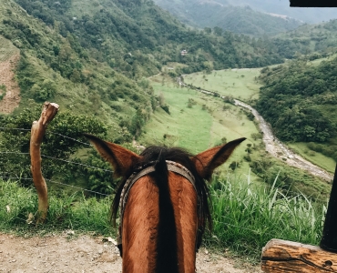 Scopri le Azzorre in sella al cavallo