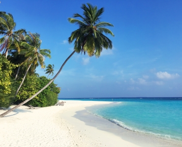 Maldive Viaggi di Nozze: The Sun Siyam Iru Fushi 5*