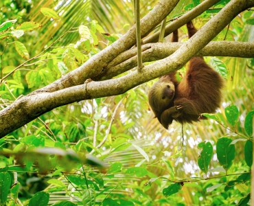 Viaggio in Costa Rica: natura e avventura