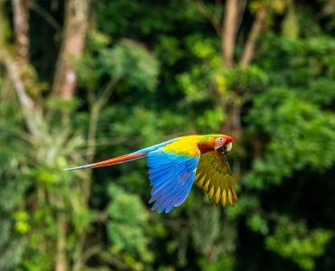 Viaggio in Costa Rica: natura e avventura