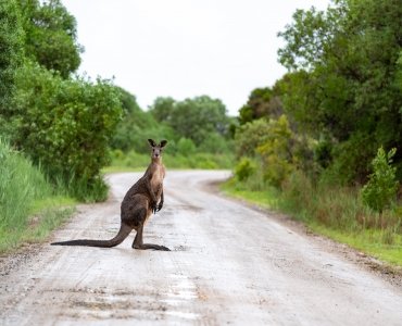 Australia e isole Fiji