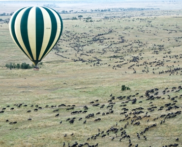 Kenya Safari: avventure dal Masai Mara a Mombasa