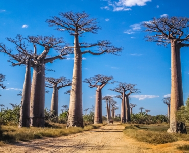 Tour del Sud Madagascar: parchi naturali e spiagge