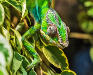 Tour Madagascar: natura selvaggia e relax ad Anakao