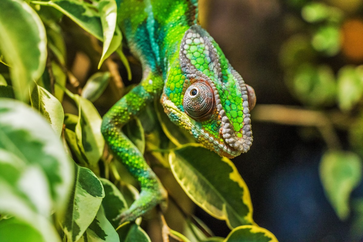 viaggi di nozze madagascar