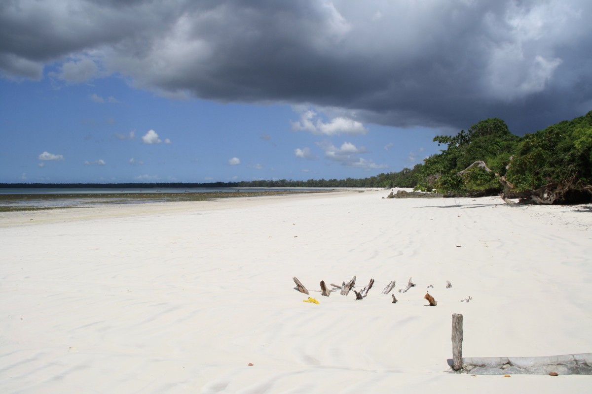 isole della tanzania