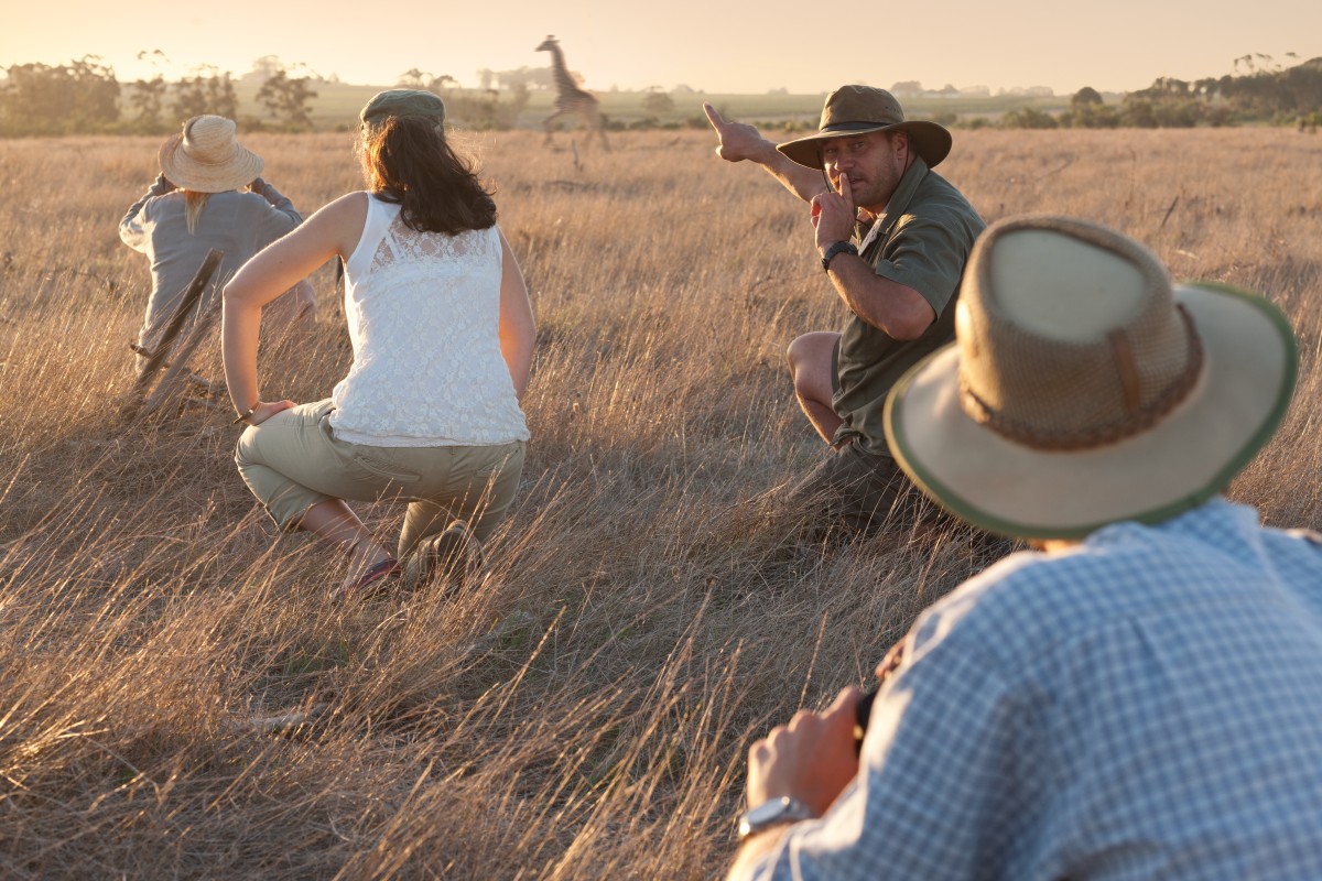 safari kenya