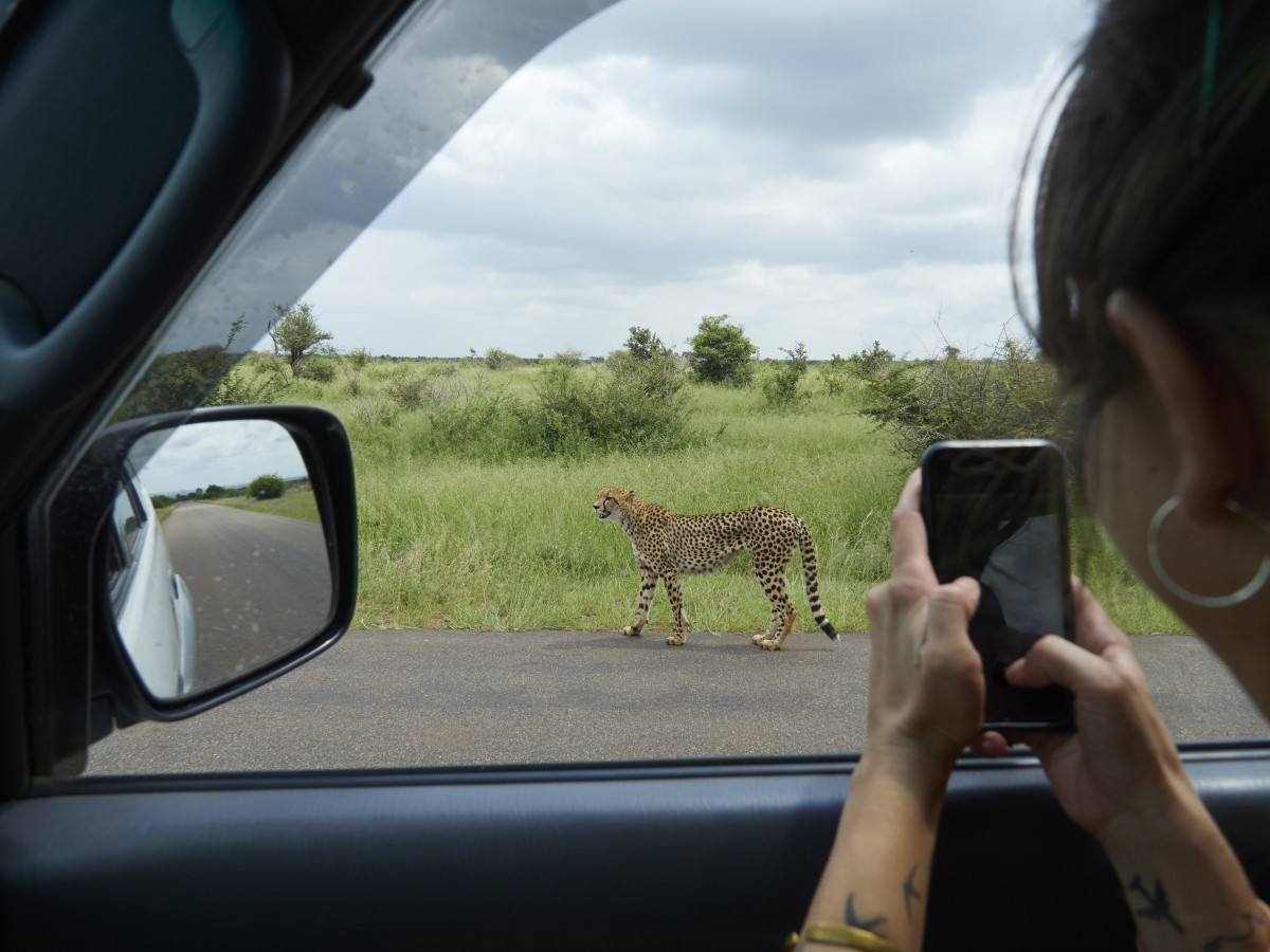 miglio safari kenya tanzania