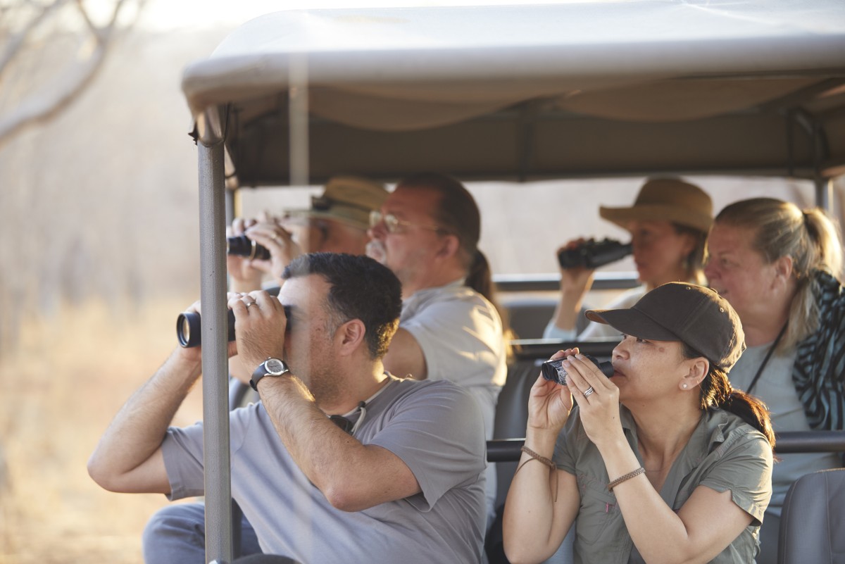 safari migliore africa