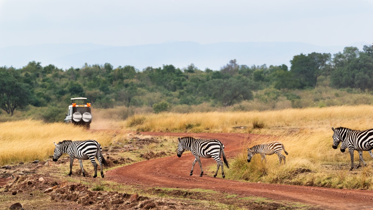 safari Tanzania