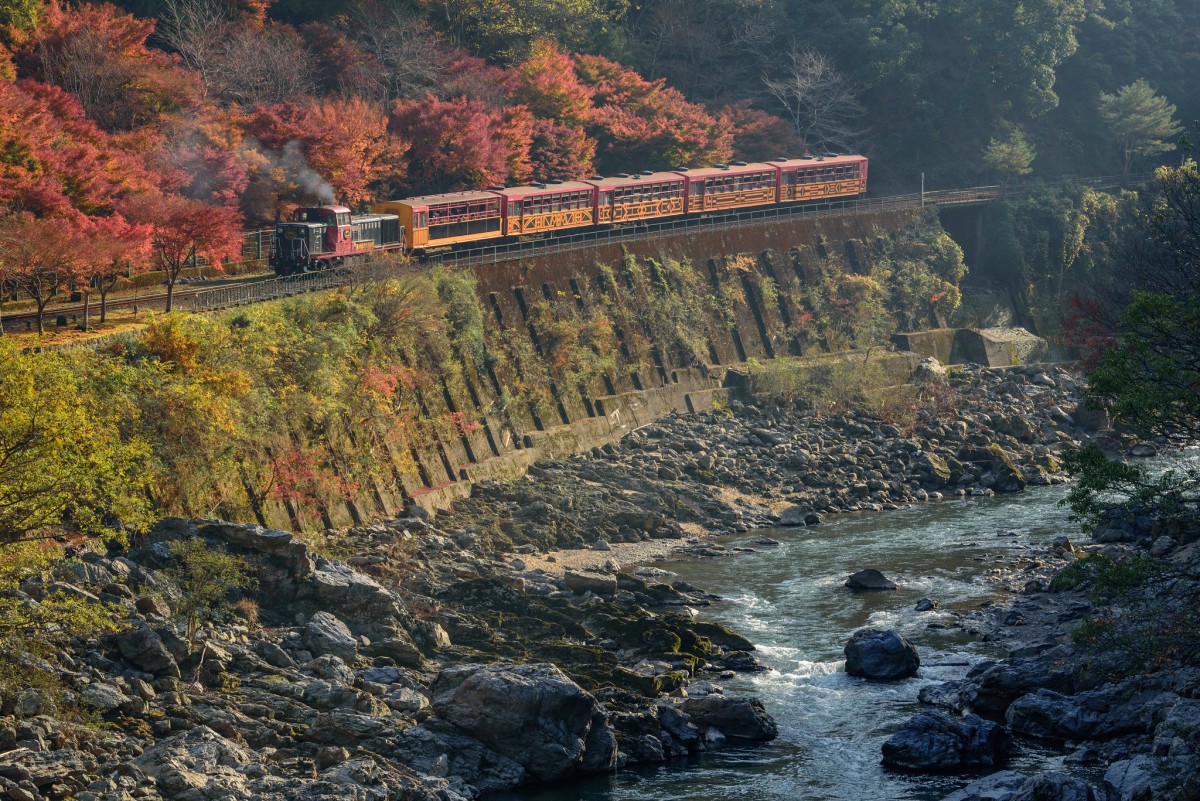 tutti i treni del mondo