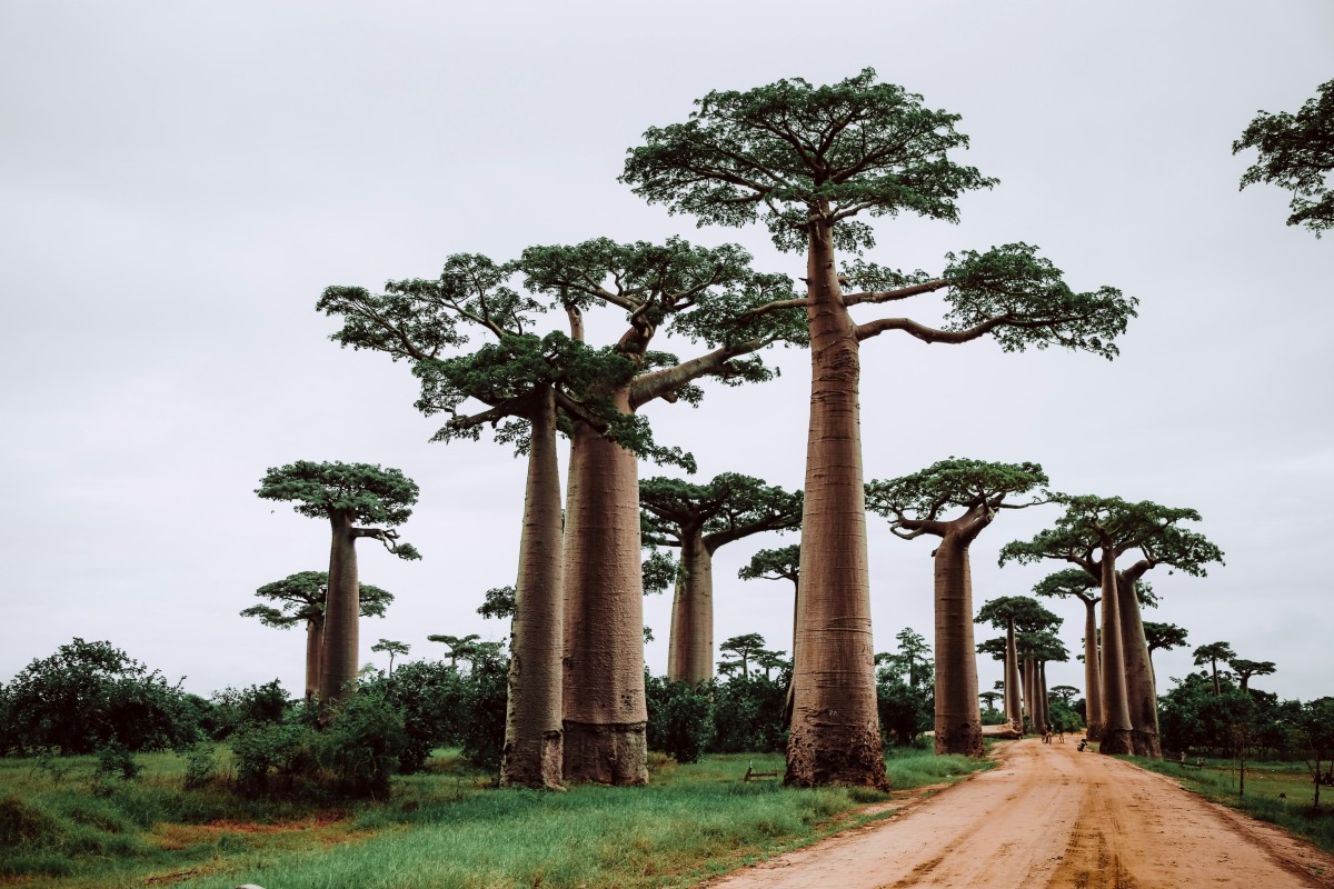 madagascar viaggi di nozze